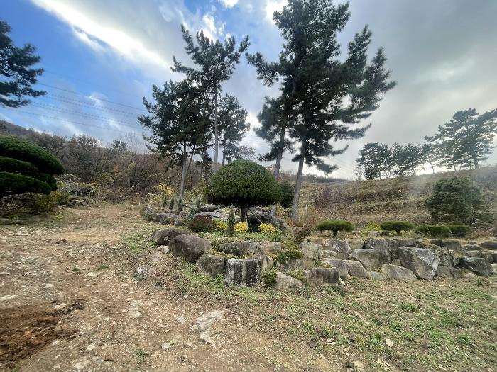 경상남도 김해시 대청동 800-26 전 경매 사진 16