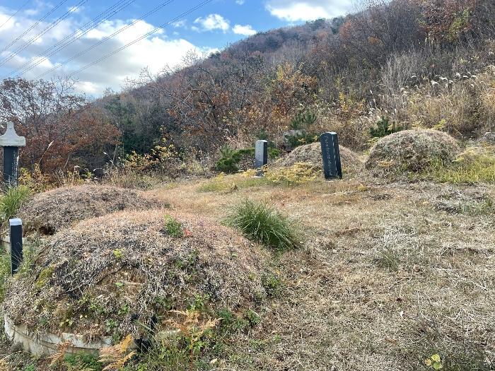 경상남도 김해시 대청동 800-26 전 경매 사진 21