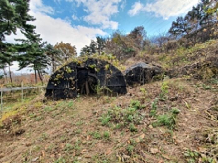 경상남도 김해시 대청동 800-26 전 경매 사진 25