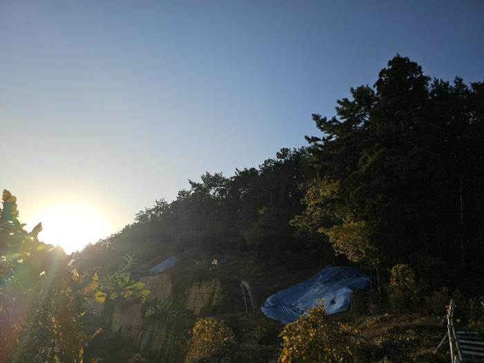 경상남도 창원시 진해구 두동 산27 임야 경매 사진 1