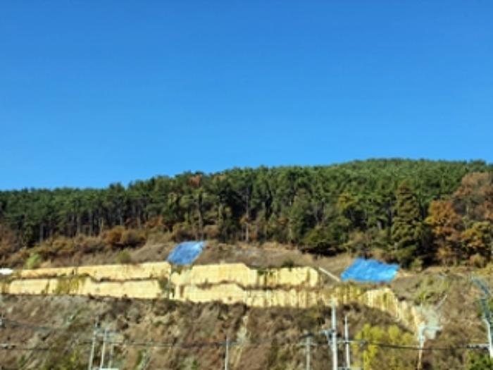 경상남도 창원시 진해구 두동 산27 임야 경매 사진 6