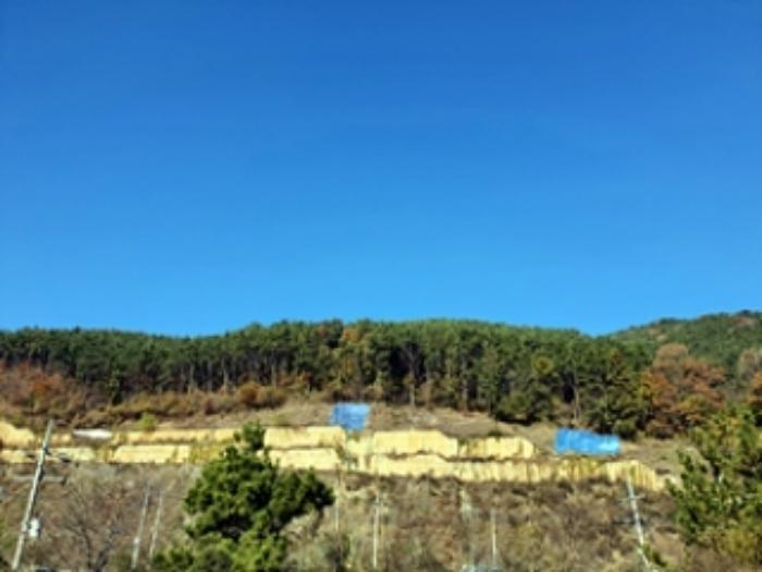 경상남도 창원시 진해구 두동 산27 임야 경매 사진 7