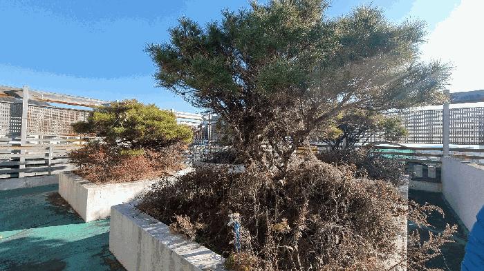 경상남도 김해시 어방동 530-7 숙박시설 경매 사진 9