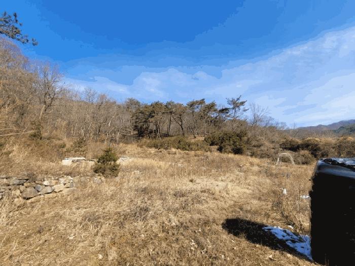 전라남도 화순군 동복면 연월리 879 전 경매 사진 1