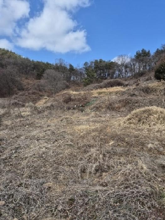 전라남도 화순군 동복면 연월리 879 전 경매 사진 10
