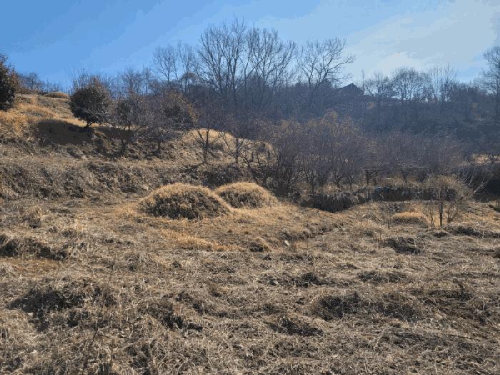 전라남도 화순군 동복면 연월리 879 전 경매 사진 4
