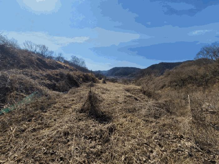 전라남도 화순군 동복면 연월리 879 전 경매 사진 5