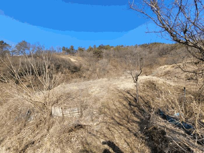 전라남도 화순군 동복면 연월리 879 전 경매 사진 6