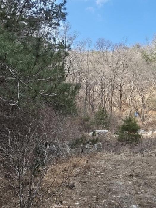 전라남도 화순군 동복면 연월리 879 전 경매 사진 7