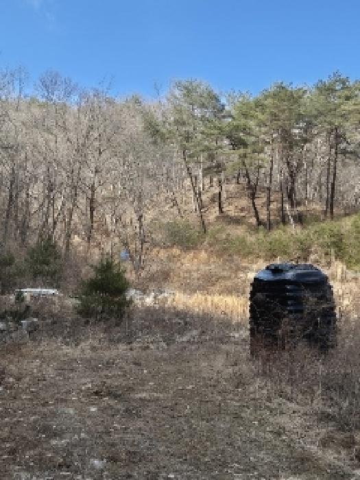 전라남도 화순군 동복면 연월리 879 전 경매 사진 9