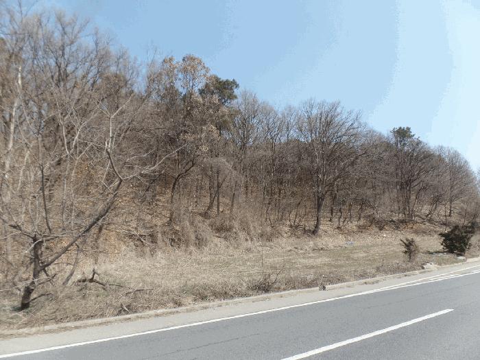경기도 파주시 문산읍 당동리 488 전 경매 사진 3
