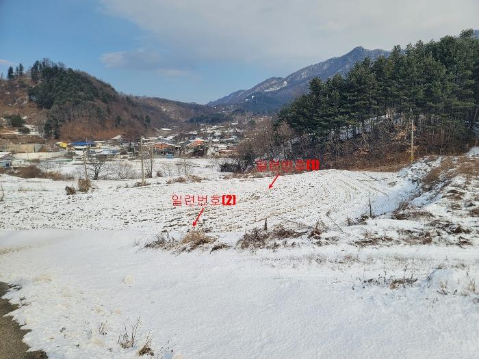경기도 가평군 설악면 위곡리 246-2 답 경매 사진 2