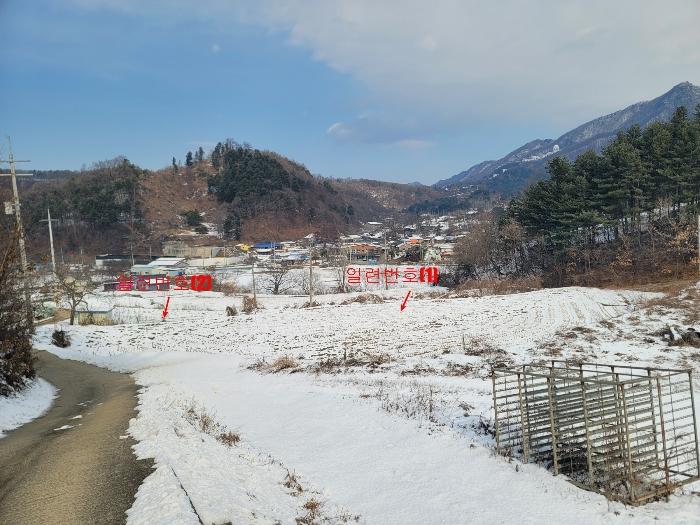 경기도 가평군 설악면 위곡리 246-2 답 경매 사진 5