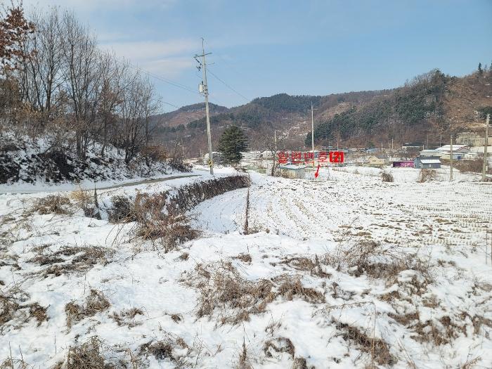 경기도 가평군 설악면 위곡리 246-2 답 경매 사진 6