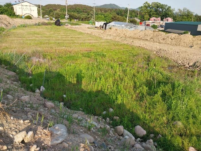 경기도 양평군 용문면 금곡리 140-7 답 경매 사진 4