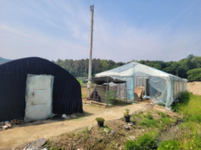 경기도 양평군 용문면 금곡리 140-7 답 경매 사진 9