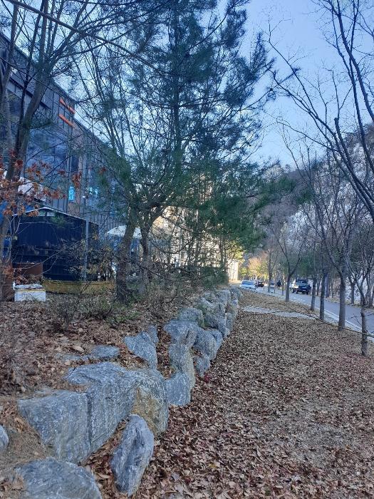 경상북도 청송군 주왕산면 내룡리 37-1 상가 경매 사진 12