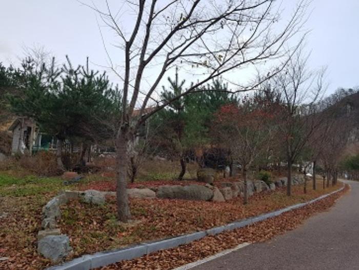 경상북도 청송군 주왕산면 내룡리 37-1 상가 경매 사진 17