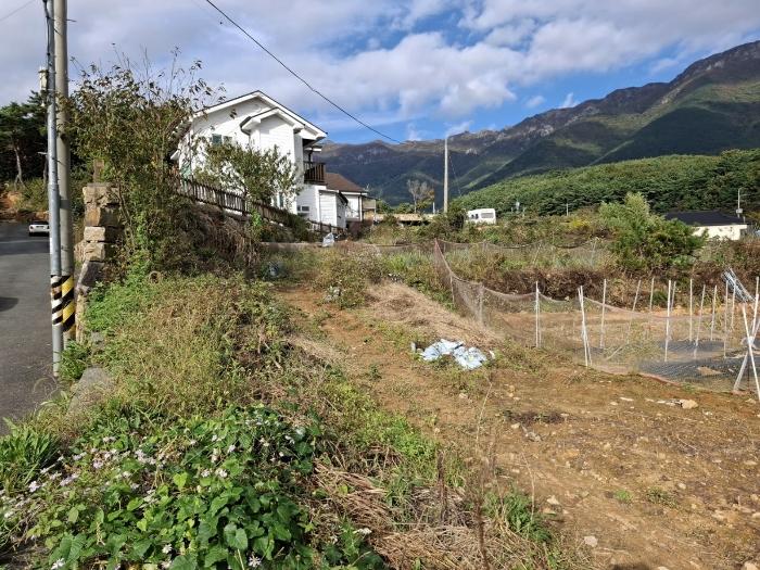 경상남도 양산시 하북면 지산리 336-2 도로 경매 사진 3