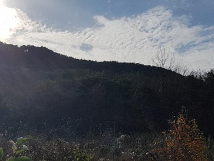 경상북도 의성군 점곡면 윤암리 336 전 경매 사진 21