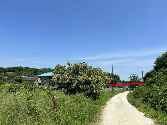 세종특별자치시 연동면 내판리 349 답 경매 사진 2