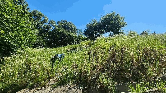 충청남도 금산군 금산읍 신대리 161 전 경매 사진 2