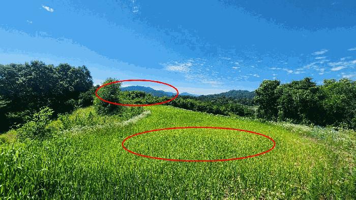 충청남도 금산군 금산읍 신대리 161 전 경매 사진 3