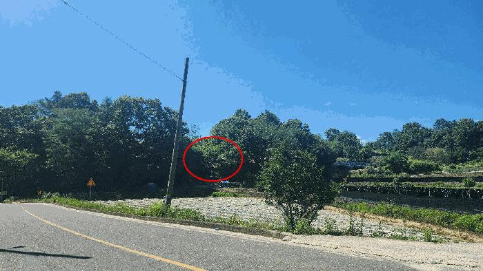 충청남도 금산군 금산읍 신대리 161 전 경매 사진 7