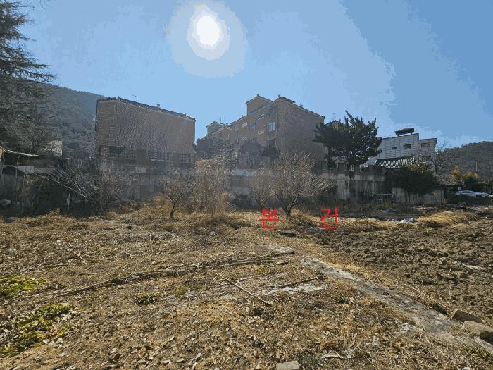 대구광역시 동구 지묘동 239 답 경매 사진 3