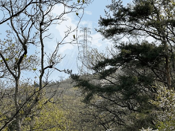 경상남도 김해시 한림면 안곡리 624-11 임야 경매 사진 13