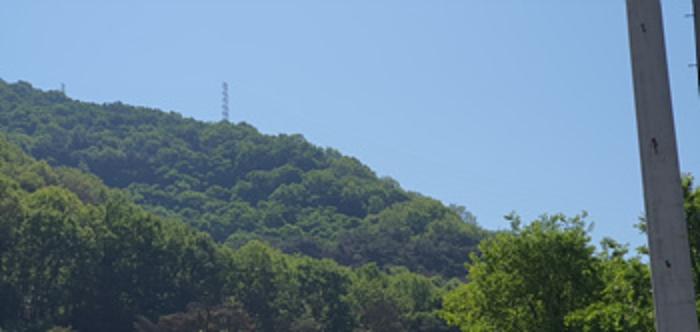 경상남도 김해시 한림면 안곡리 624-11 임야 경매 사진 22