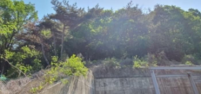 경상남도 김해시 한림면 안곡리 624-11 임야 경매 사진 26