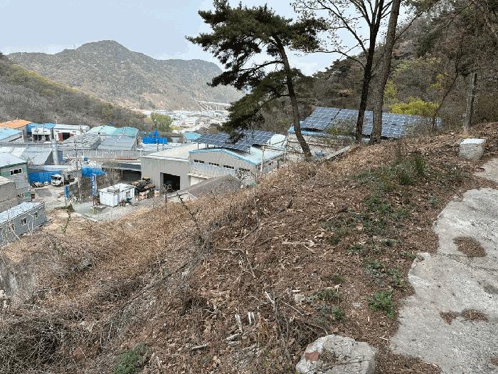 경상남도 김해시 한림면 안곡리 624-11 임야 경매 사진 4