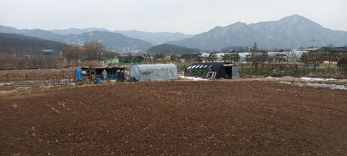 경기도 포천시 영중면 거사리 143 전 경매 사진 38