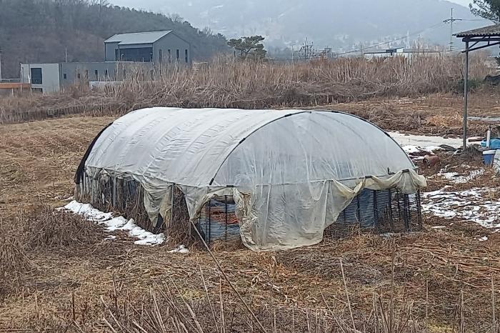 경기도 포천시 영중면 거사리 143 전 경매 사진 43