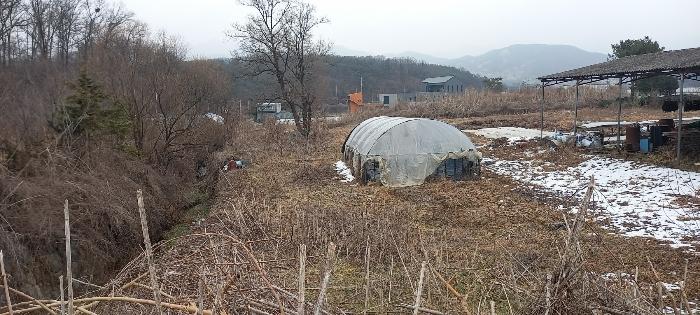 경기도 포천시 영중면 거사리 143 전 경매 사진 6