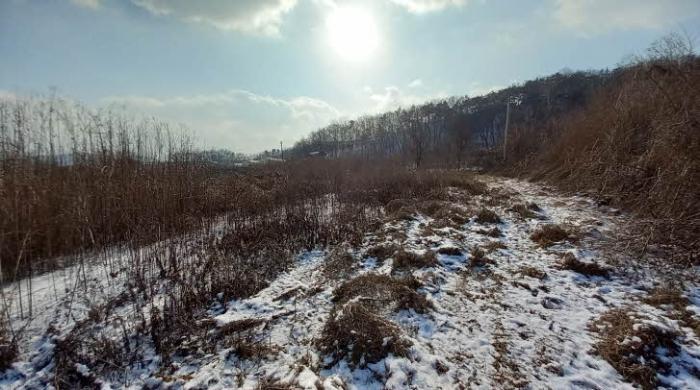경기도 포천시 영중면 거사리 143 전 경매 사진 78