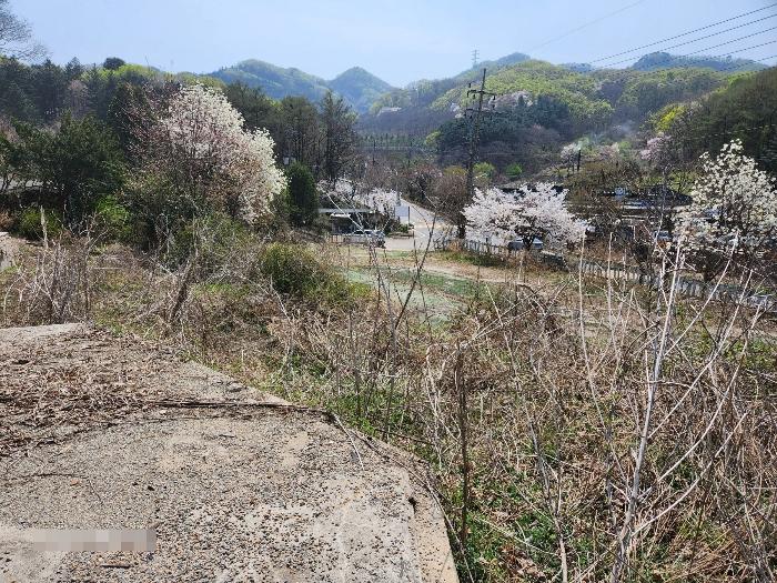 경기도 양주시 백석읍 기산리 136-1 근린시설 경매 사진 9