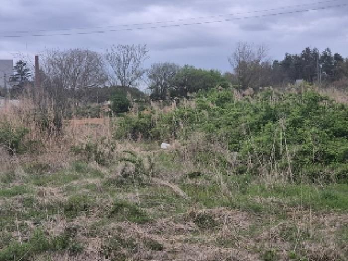 전라남도 나주시 금천면 촌곡리 309-1 과수원 경매 사진 21