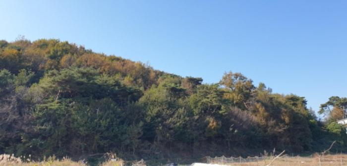 경기도 안산시 단원구 대부동동 산107-6 임야 경매 사진 10