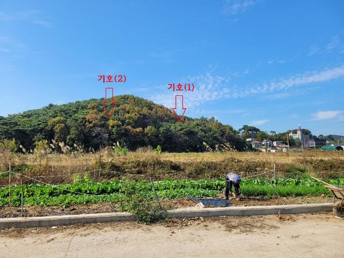 경기도 안산시 단원구 대부동동 산107-6 임야 경매 사진 3