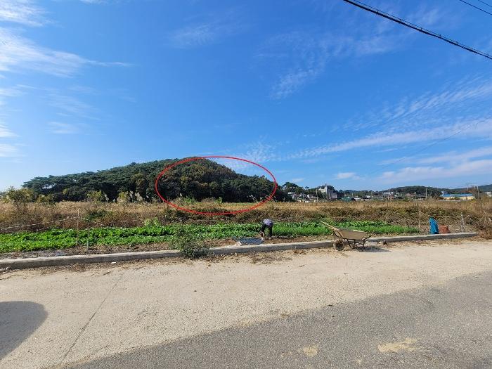 경기도 안산시 단원구 대부동동 산107-6 임야 경매 사진 4