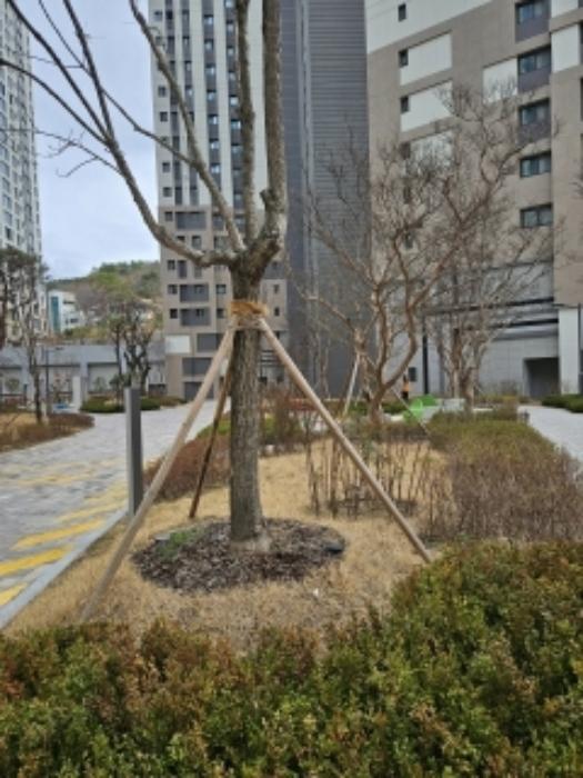 부산광역시 금정구 수림로 12, 109동 12층1203호 (부곡동,에스케이아파트)구) 부산광역시 금정구 부곡동 63-11 아파트 경매 사진 9