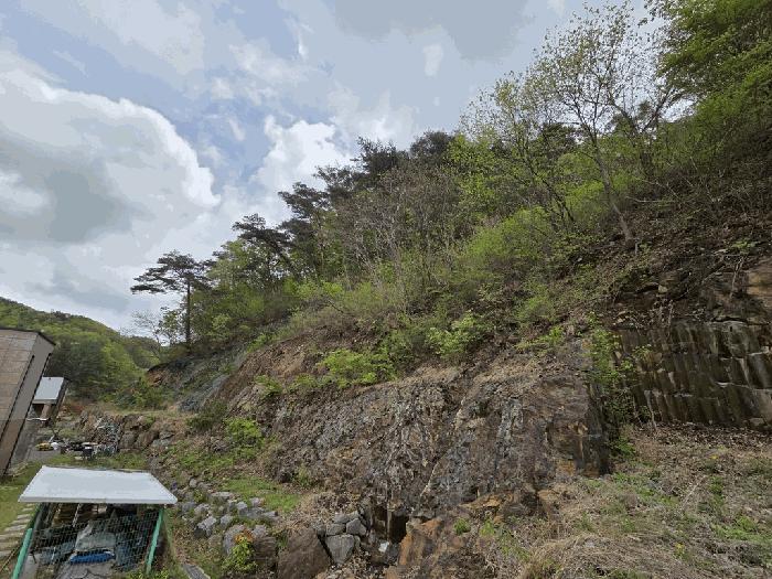 충청남도 금산군 복수면 신대리 68-23 임야 경매 사진 1