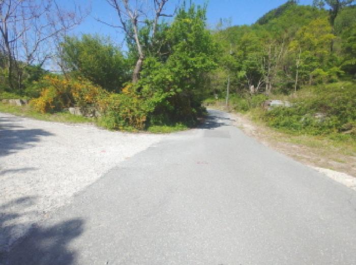 충청남도 금산군 복수면 신대리 68-23 임야 경매 사진 5