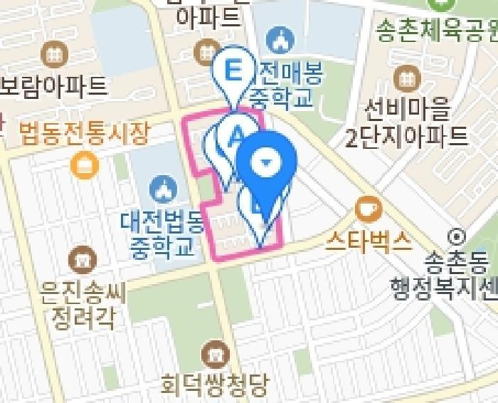 대전광역시 대덕구 법동 195-1 그린타운아파트 108동 9층902호 아파트 경매 사진 12