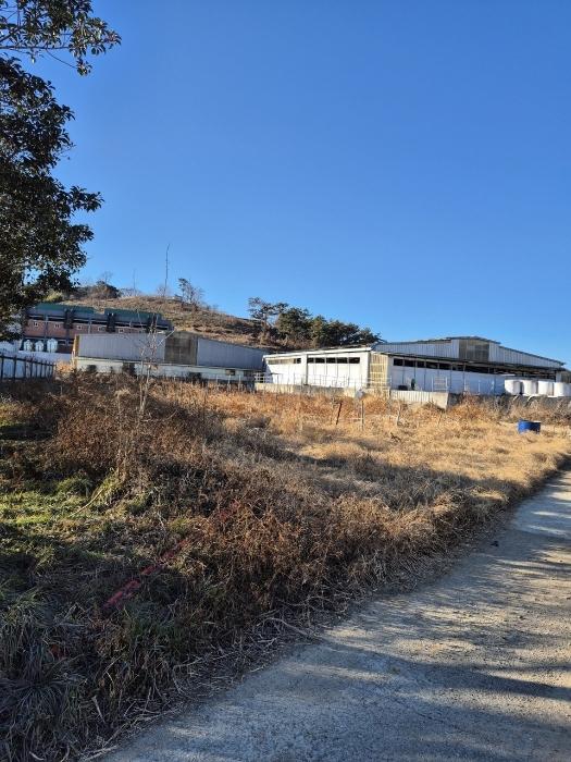 경상남도 김해시 한림면 용덕리 521-8 답 경매 사진 9
