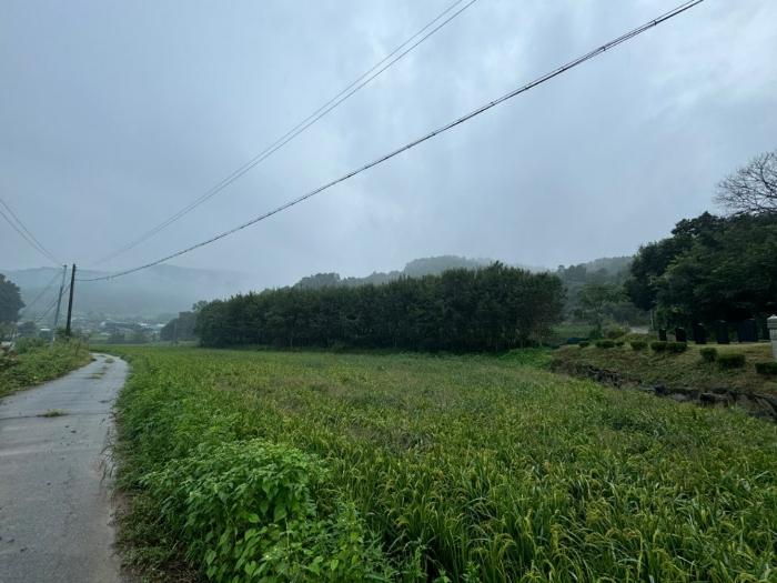 충청남도 공주시 태봉동 335 전 경매 사진 1