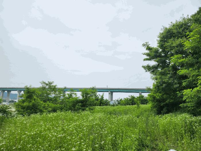 경상북도 영천시 화산면 석촌리 268-1 전 경매 사진 6