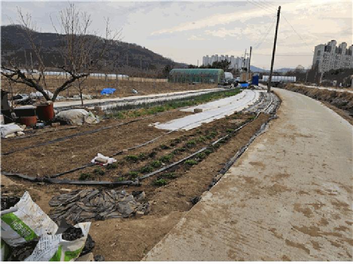 경상북도 칠곡군 왜관읍 왜관리 610-1 전 경매 사진 2